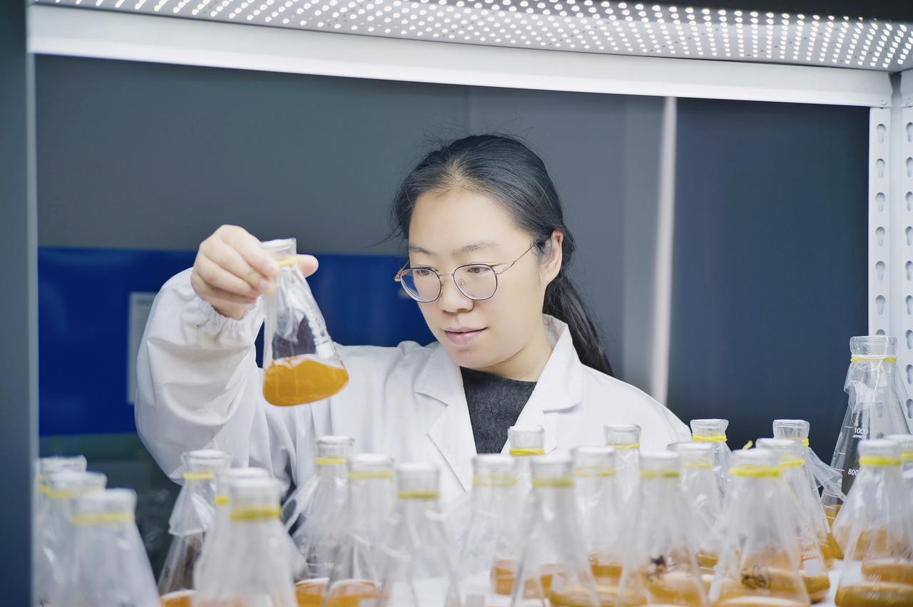Dr. Nancy Xu in laboratory holding algae flask